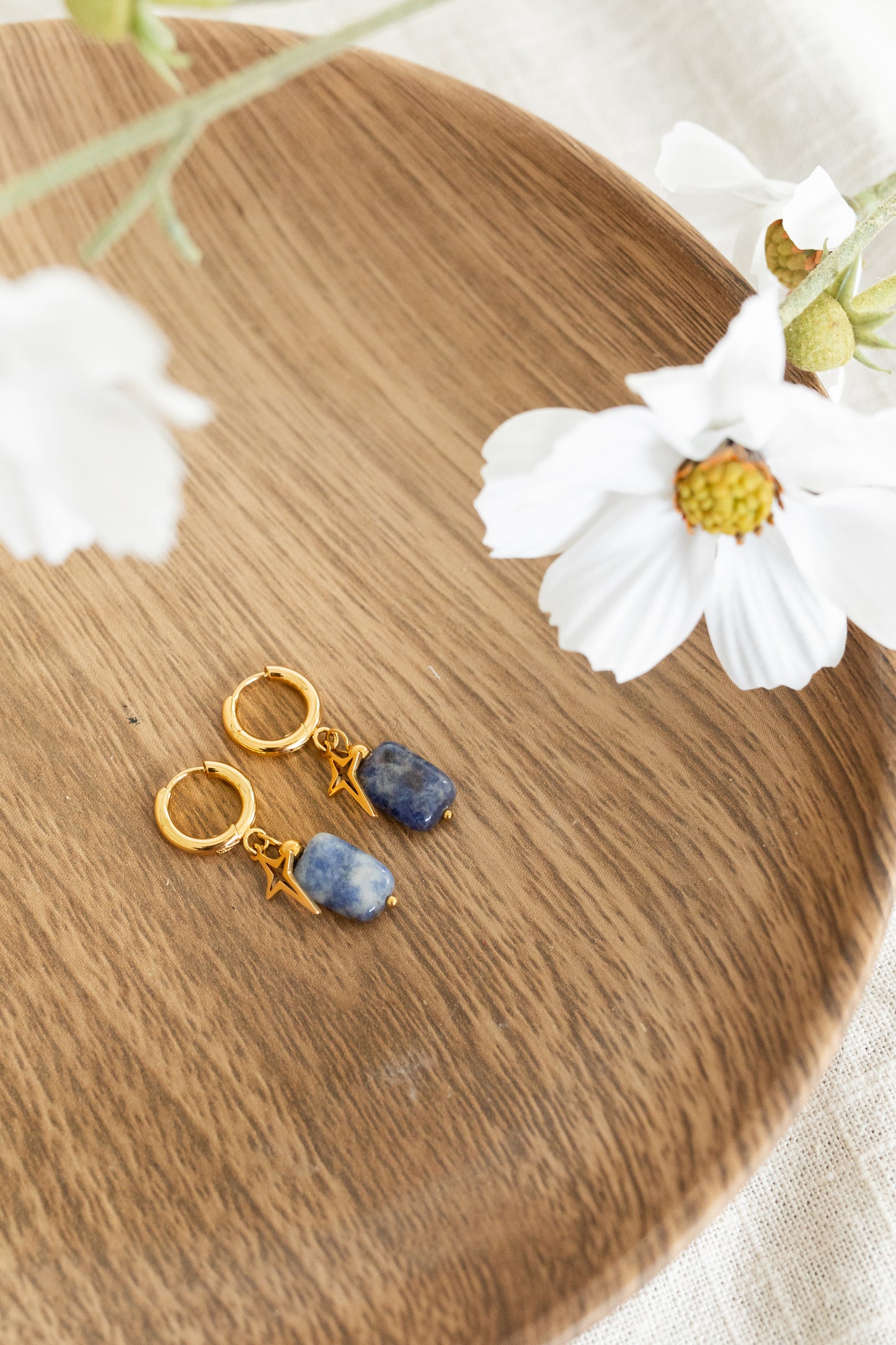 Megan Blue Stone hoops