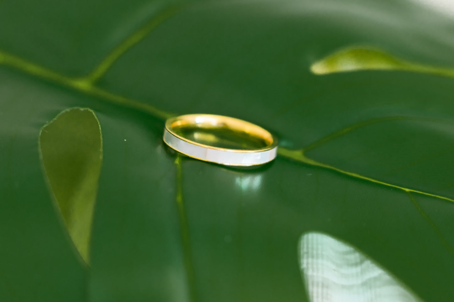 Sienna | Mother of Pearl Band